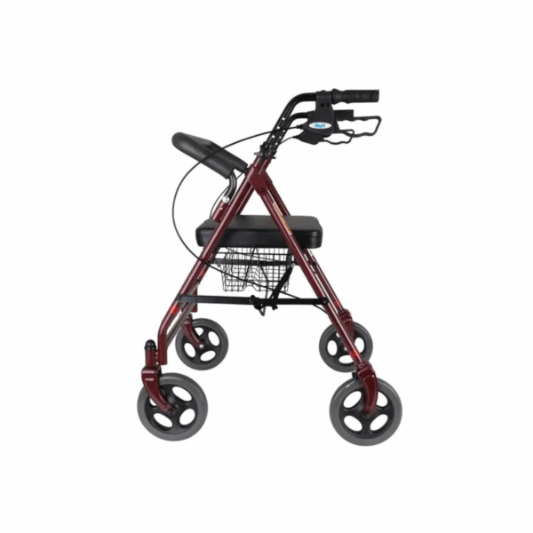 Wheelie Walker